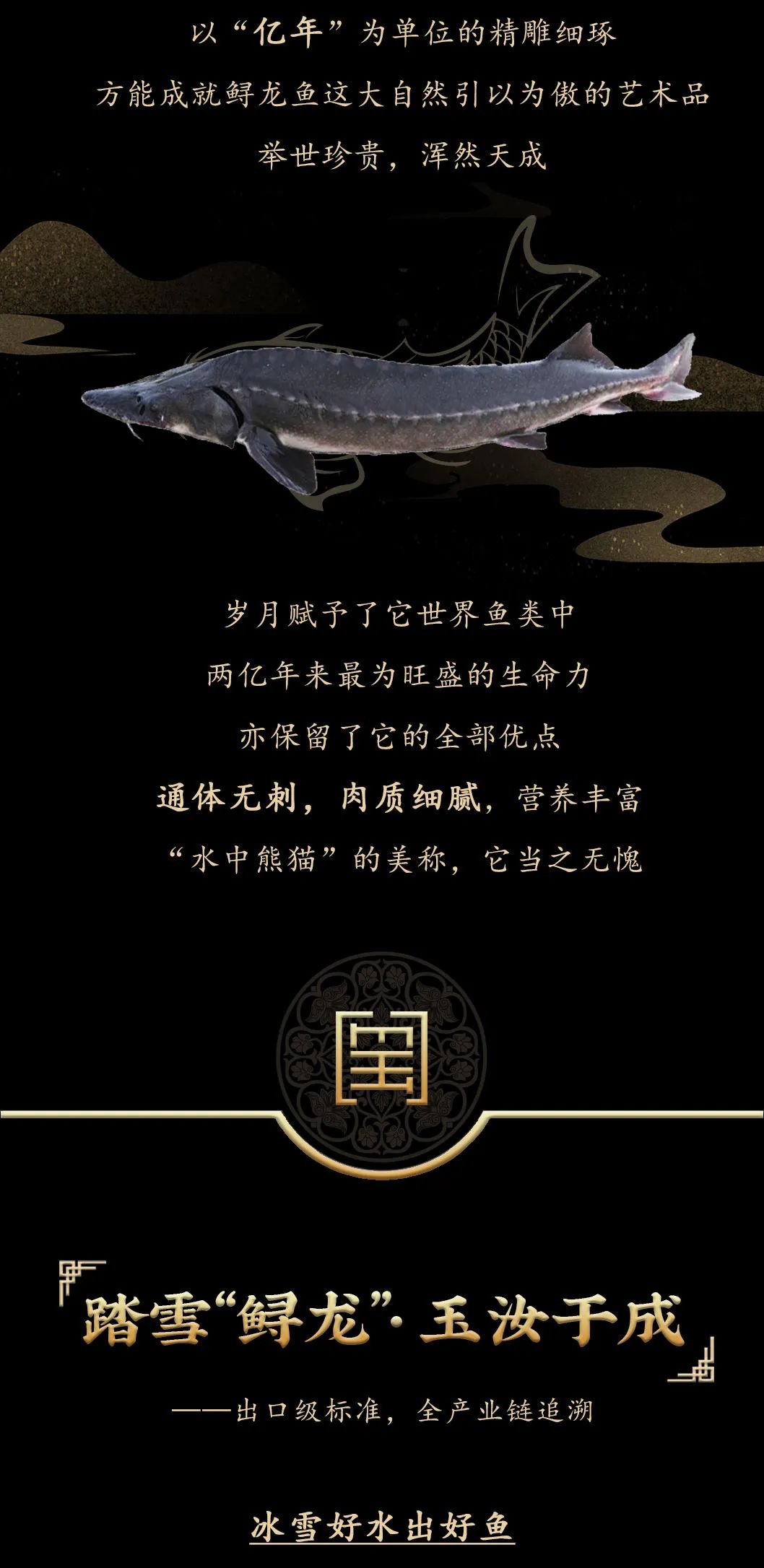 九州鱘龍魚(yú)片上新 | 自然臻藏，獻(xiàn)給吃魚(yú)有講究的人